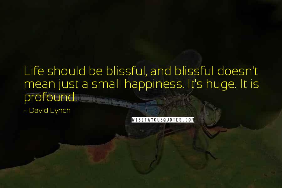 David Lynch quotes: Life should be blissful, and blissful doesn't mean just a small happiness. It's huge. It is profound.
