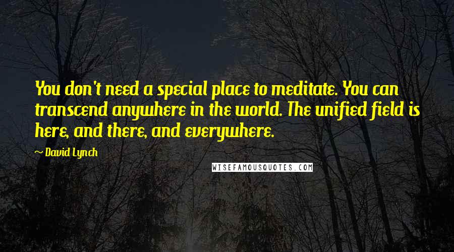 David Lynch quotes: You don't need a special place to meditate. You can transcend anywhere in the world. The unified field is here, and there, and everywhere.