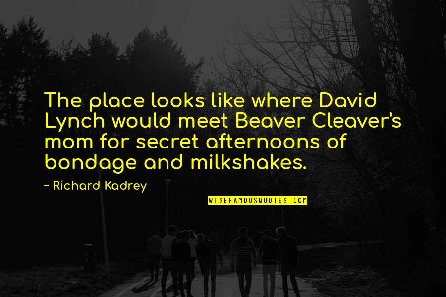 David Lynch Quotes By Richard Kadrey: The place looks like where David Lynch would