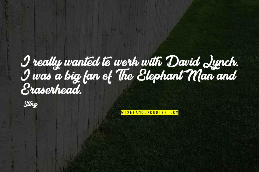 David Lynch The Elephant Man Quotes By Sting: I really wanted to work with David Lynch.