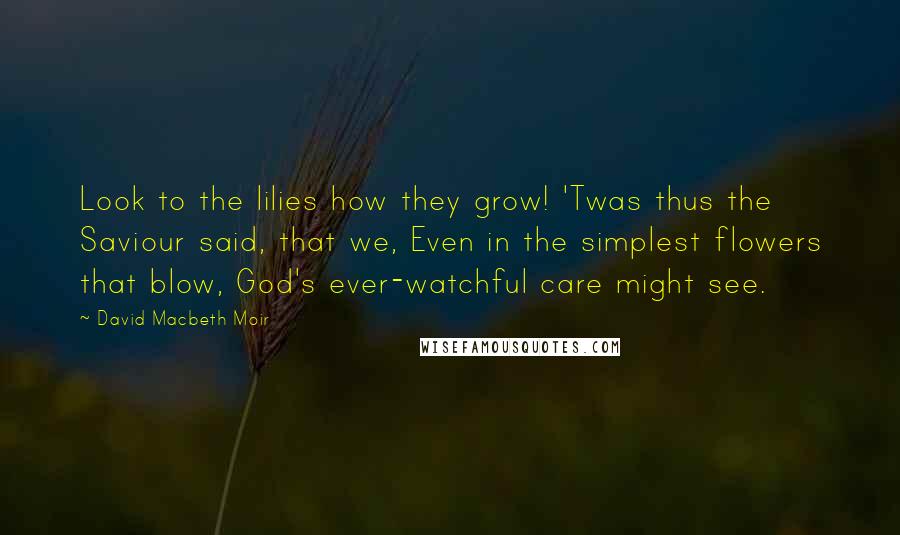 David Macbeth Moir quotes: Look to the lilies how they grow! 'Twas thus the Saviour said, that we, Even in the simplest flowers that blow, God's ever-watchful care might see.