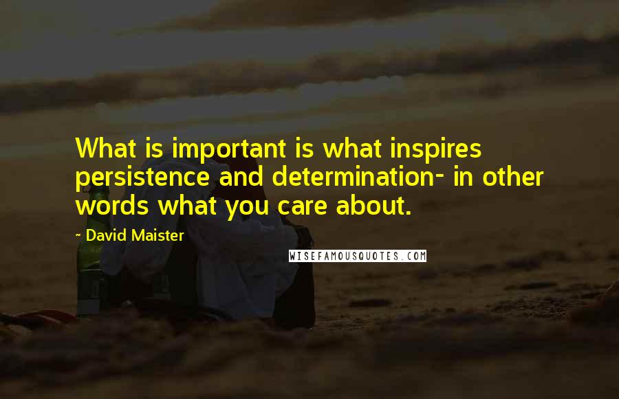 David Maister quotes: What is important is what inspires persistence and determination- in other words what you care about.