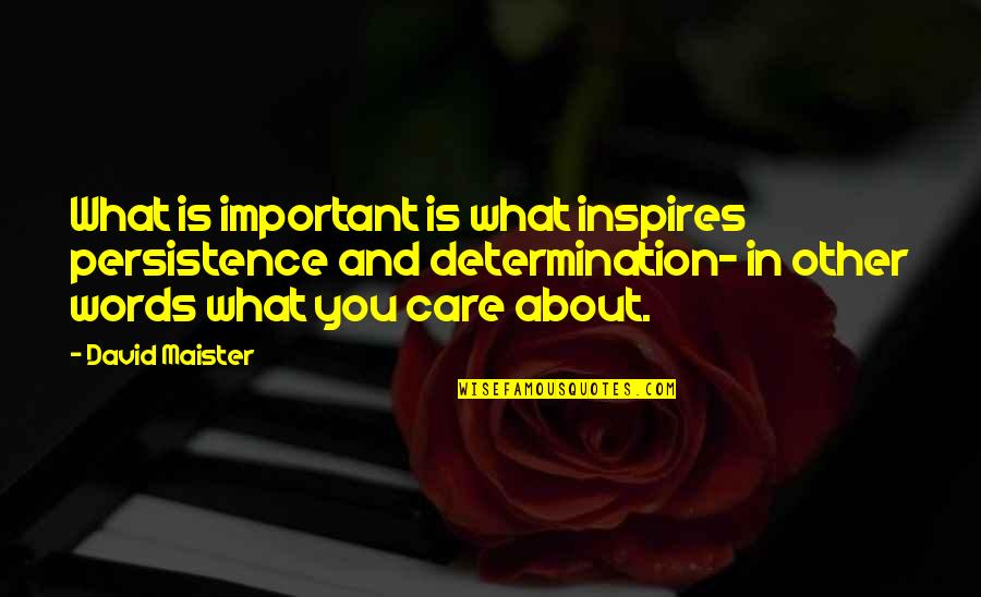 David Maister Quotes By David Maister: What is important is what inspires persistence and