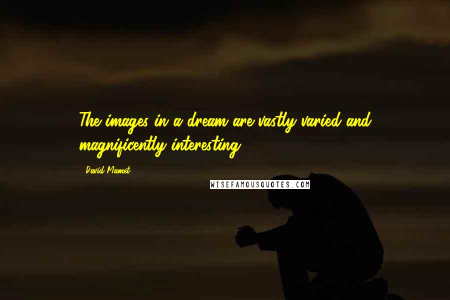 David Mamet quotes: The images in a dream are vastly varied and magnificently interesting.