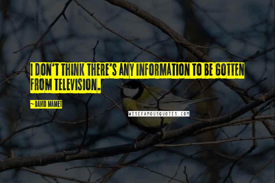 David Mamet quotes: I don't think there's any information to be gotten from television.