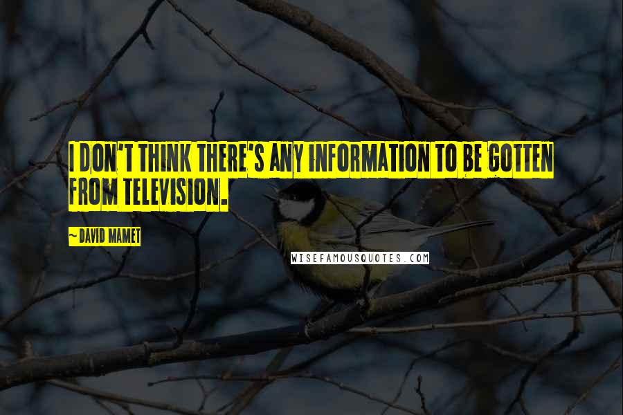 David Mamet quotes: I don't think there's any information to be gotten from television.