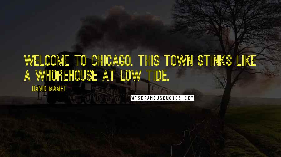 David Mamet quotes: Welcome to Chicago. This town stinks like a whorehouse at low tide.