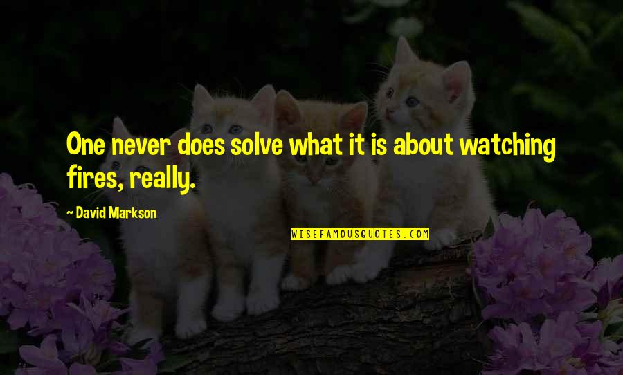 David Markson Quotes By David Markson: One never does solve what it is about