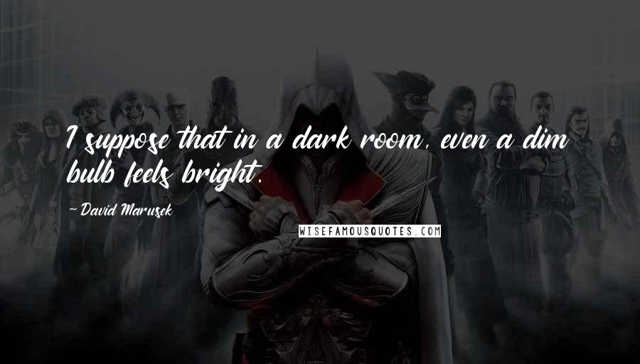 David Marusek quotes: I suppose that in a dark room, even a dim bulb feels bright.