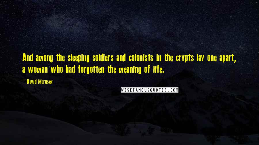 David Marusek quotes: And among the sleeping soldiers and colonists in the crypts lay one apart, a woman who had forgotten the meaning of life.