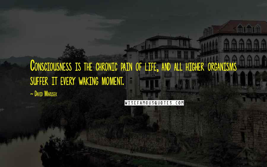 David Marusek quotes: Consciousness is the chronic pain of life, and all higher organisms suffer it every waking moment.