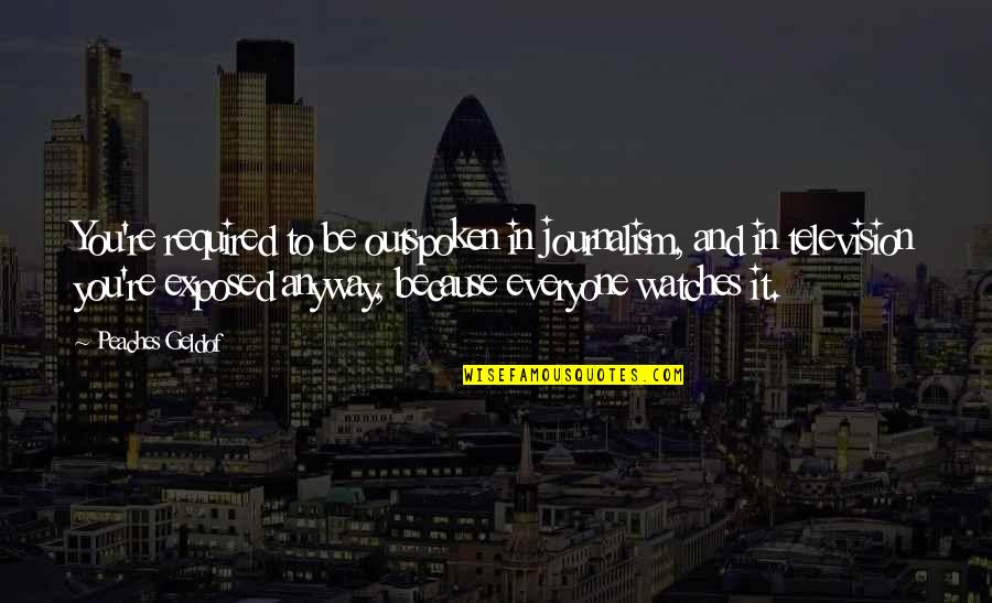 David Mccandless Quotes By Peaches Geldof: You're required to be outspoken in journalism, and