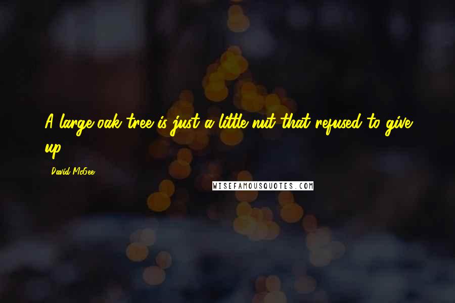 David McGee quotes: A large oak tree is just a little nut that refused to give up.