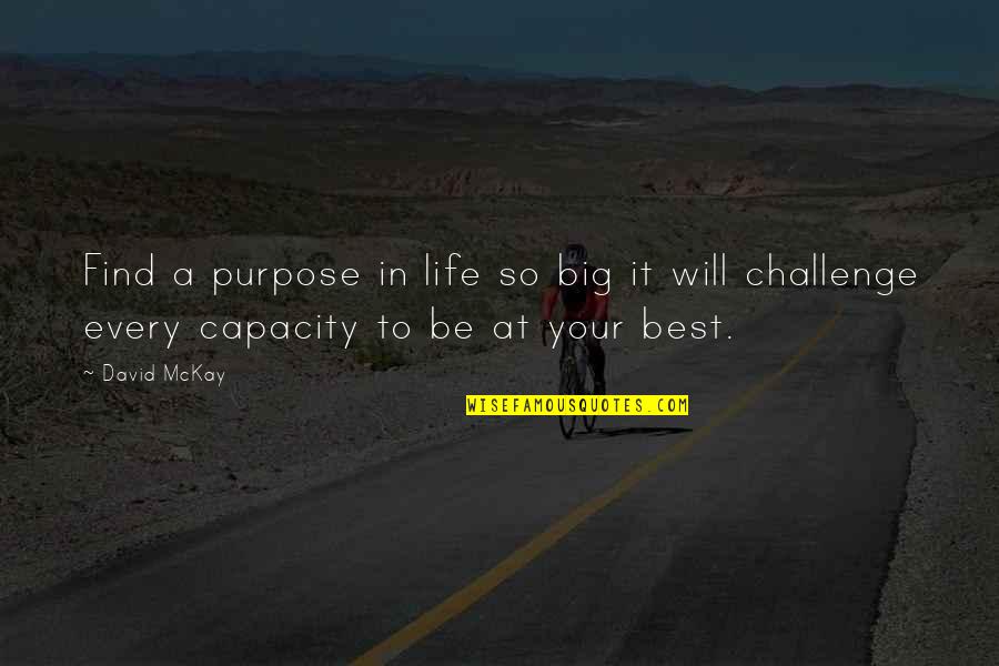 David Mckay Quotes By David McKay: Find a purpose in life so big it