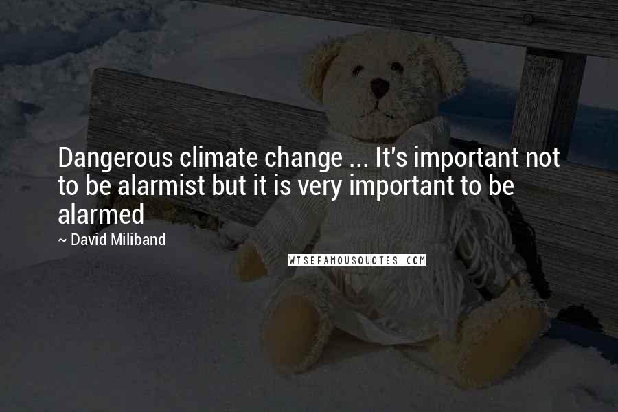 David Miliband quotes: Dangerous climate change ... It's important not to be alarmist but it is very important to be alarmed