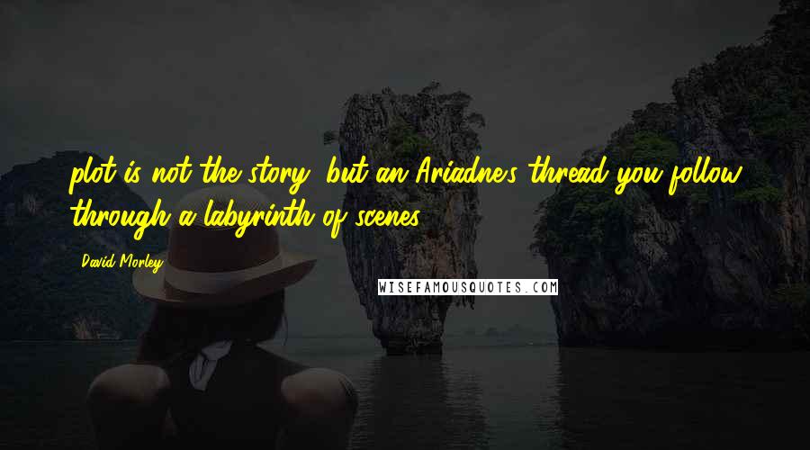 David Morley quotes: plot is not the story, but an Ariadne's thread you follow through a labyrinth of scenes.