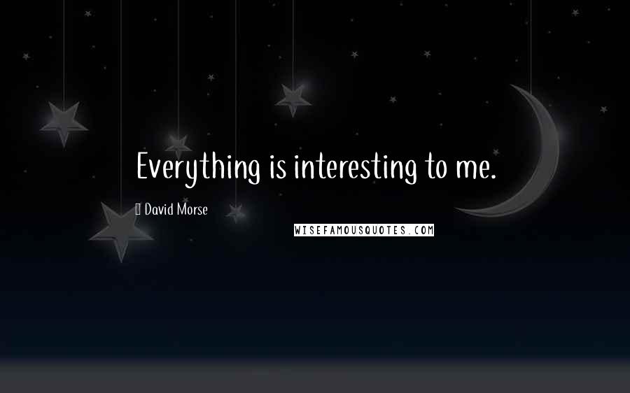 David Morse quotes: Everything is interesting to me.