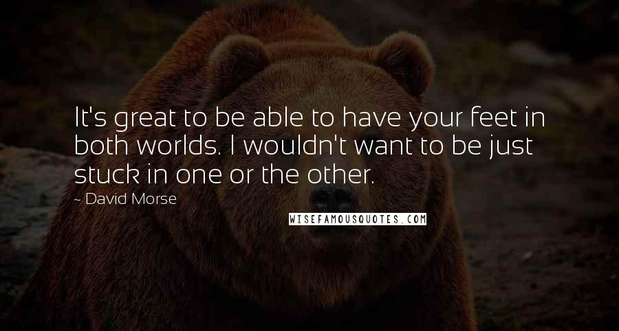 David Morse quotes: It's great to be able to have your feet in both worlds. I wouldn't want to be just stuck in one or the other.