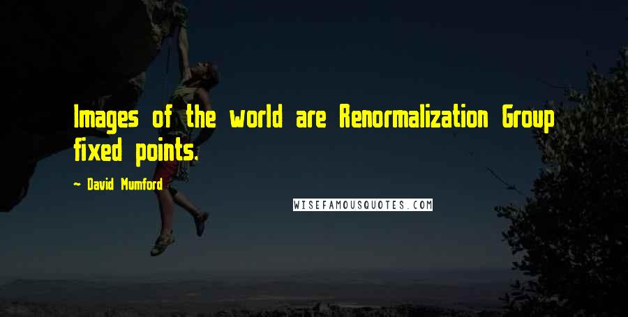 David Mumford quotes: Images of the world are Renormalization Group fixed points.
