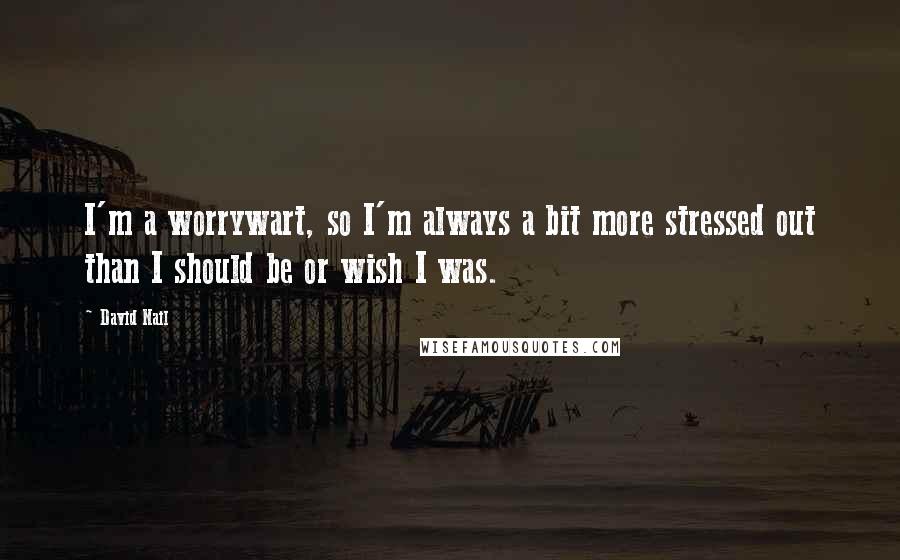 David Nail quotes: I'm a worrywart, so I'm always a bit more stressed out than I should be or wish I was.