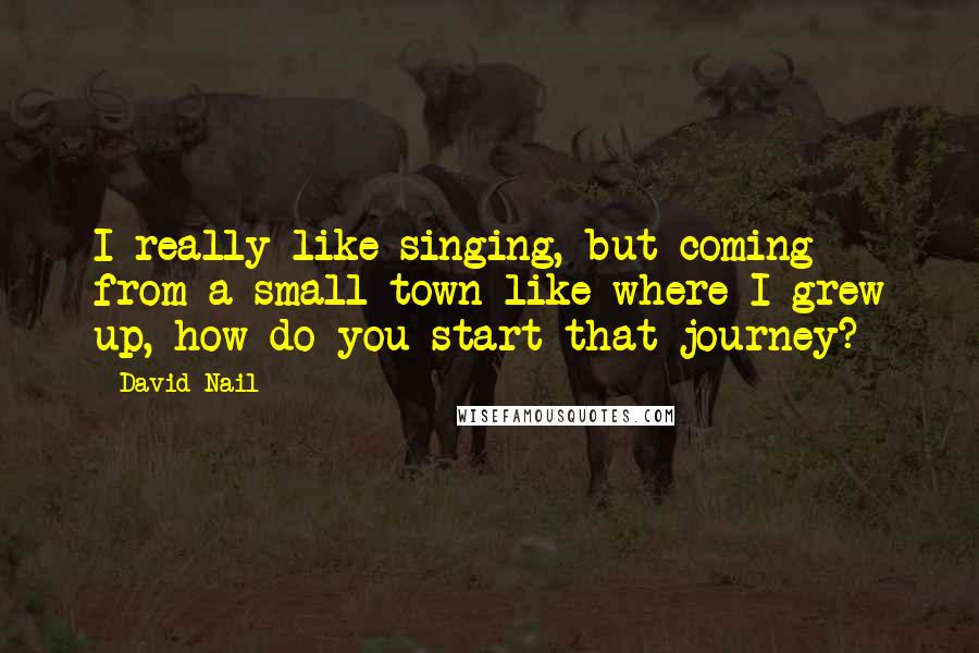 David Nail quotes: I really like singing, but coming from a small town like where I grew up, how do you start that journey?