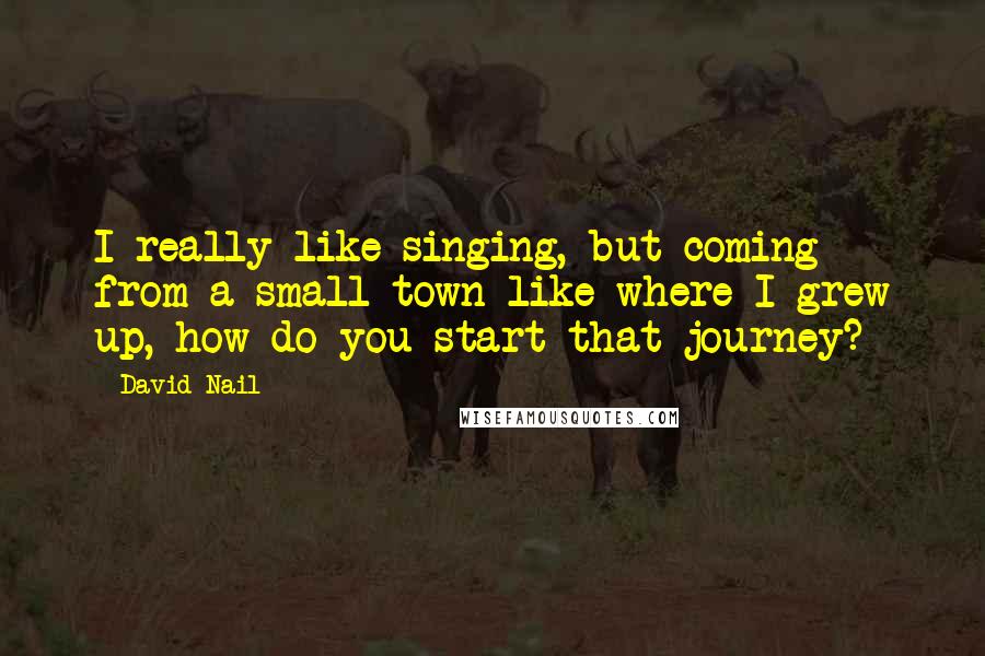 David Nail quotes: I really like singing, but coming from a small town like where I grew up, how do you start that journey? David Nail quotes: I really like singing, but coming from a small town like where I grew up, how do you start that journey?