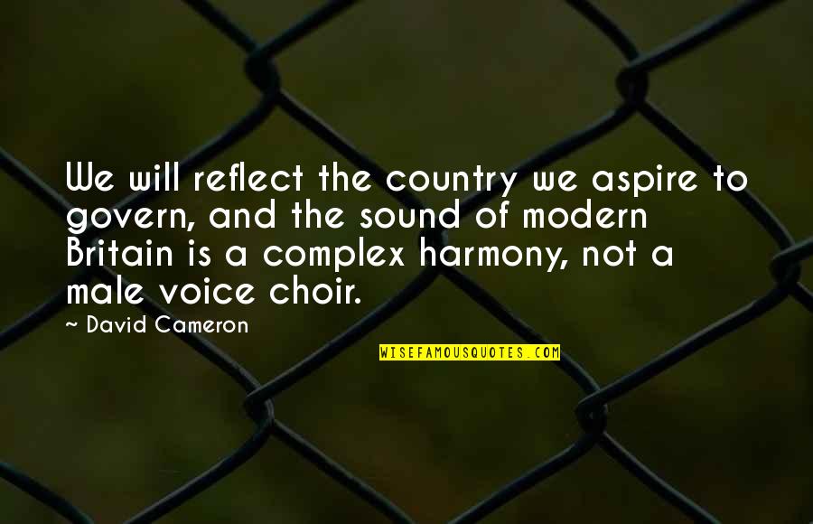 David Nasaw Quotes By David Cameron: We will reflect the country we aspire to