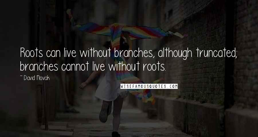 David Novak quotes: Roots can live without branches, although truncated; branches cannot live without roots.