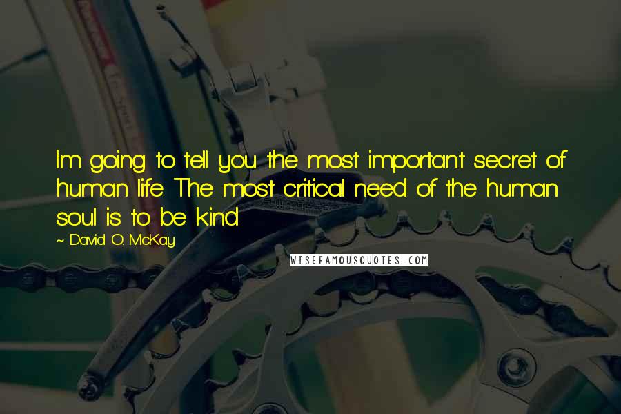 David O. McKay quotes: I'm going to tell you the most important secret of human life. The most critical need of the human soul is to be kind. David O. McKay quotes: I'm going to tell you the most important secret of human life. The most critical need of the human soul is to be kind.