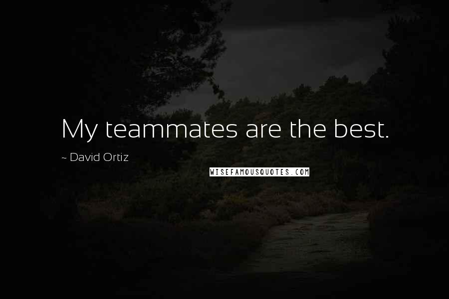 David Ortiz quotes: My teammates are the best.