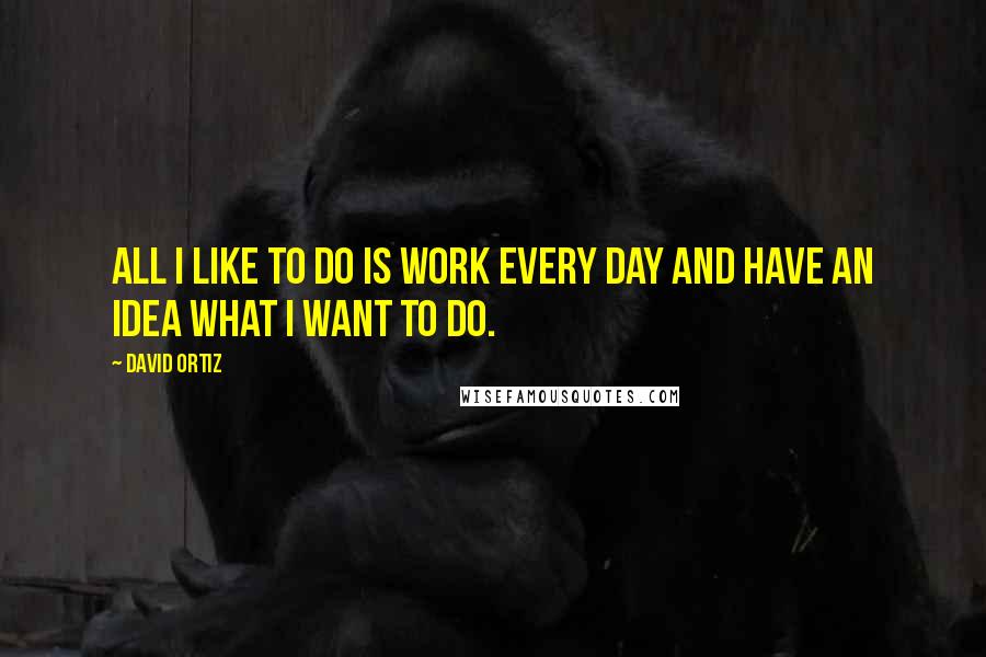 David Ortiz quotes: All I like to do is work every day and have an idea what I want to do.