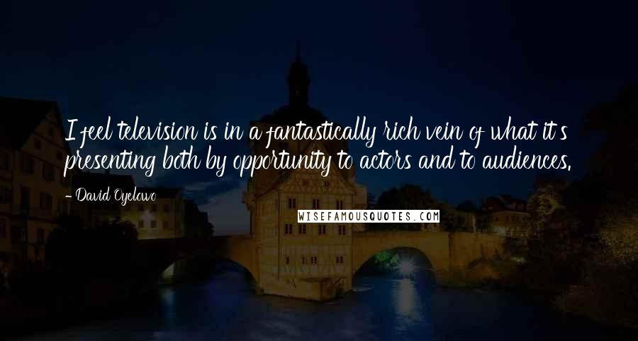 David Oyelowo quotes: I feel television is in a fantastically rich vein of what it's presenting both by opportunity to actors and to audiences.