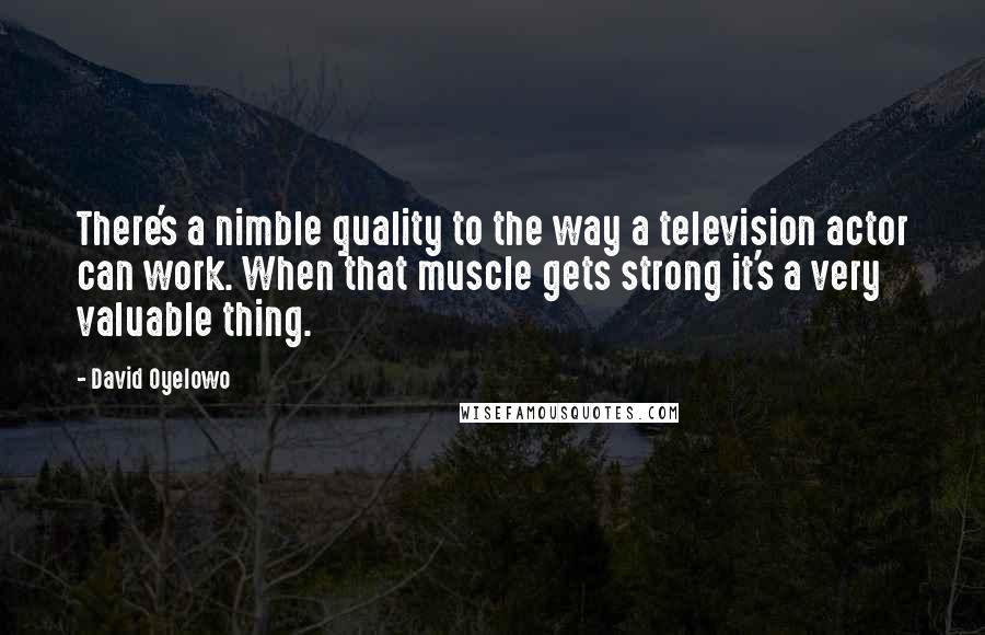 David Oyelowo quotes: There's a nimble quality to the way a television actor can work. When that muscle gets strong it's a very valuable thing.