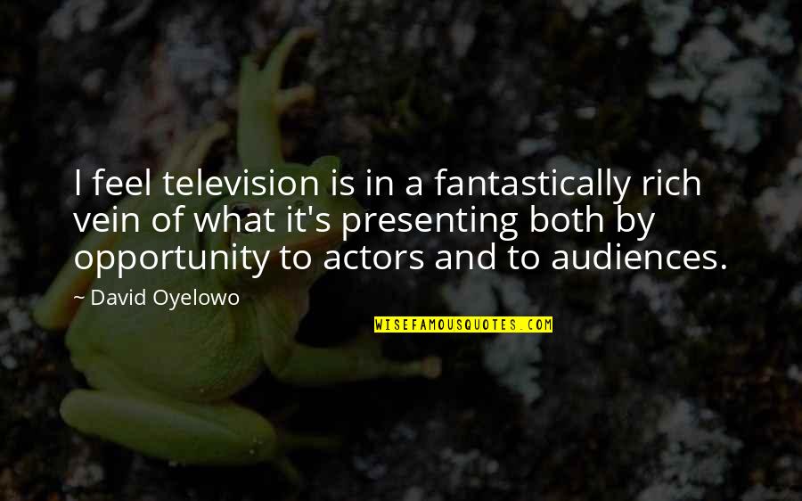 David Oyelowo Quotes By David Oyelowo: I feel television is in a fantastically rich