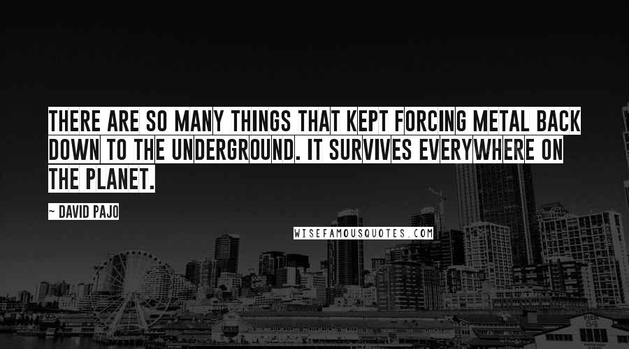 David Pajo quotes: There are so many things that kept forcing metal back down to the underground. It survives everywhere on the planet.