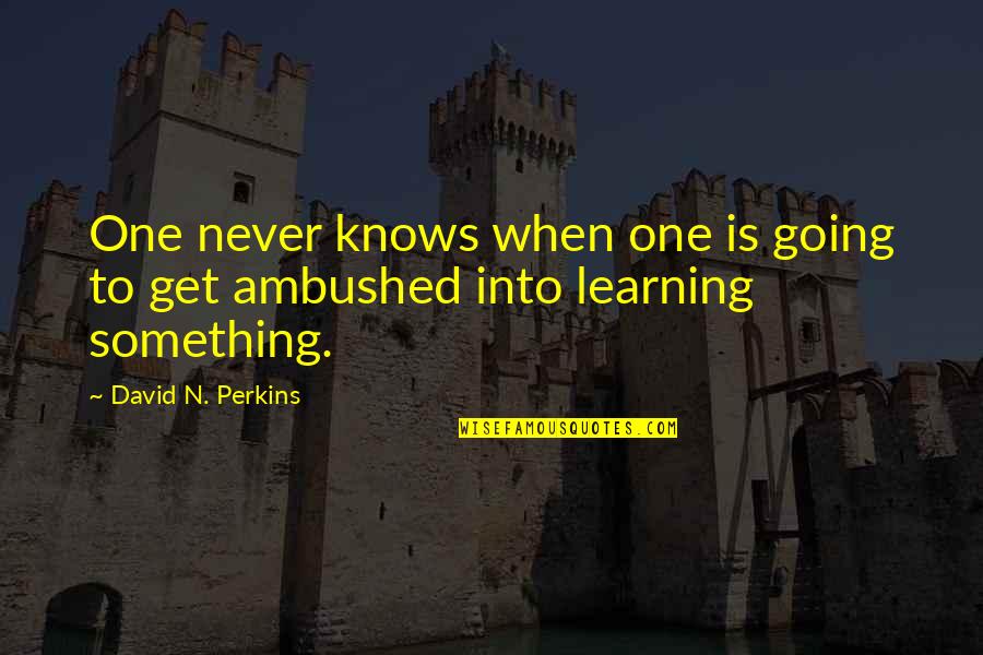 David Perkins Quotes By David N. Perkins: One never knows when one is going to David Perkins Quotes By David N. Perkins: One never knows when one is going to