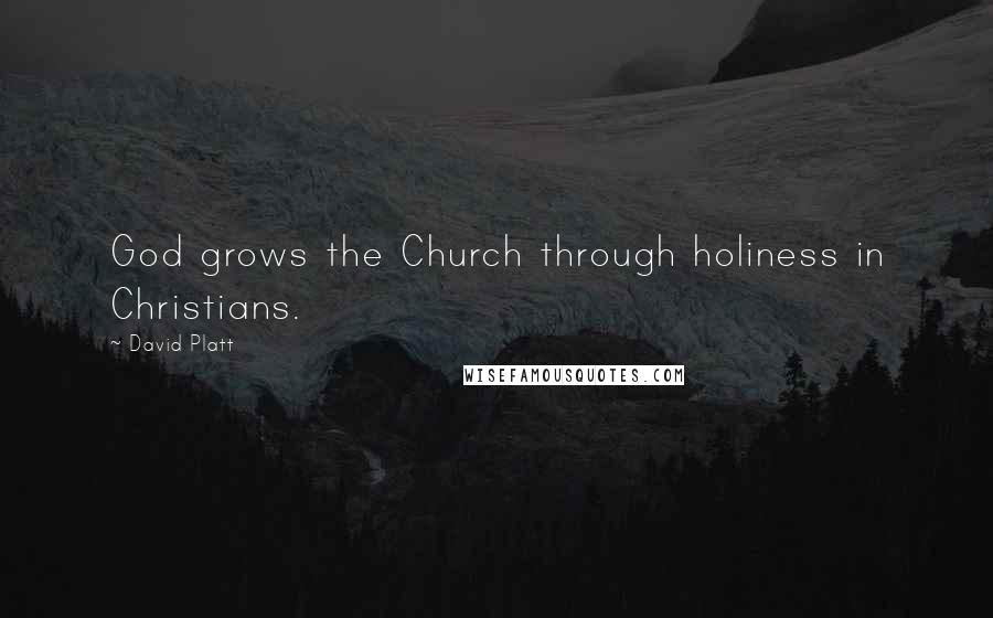 David Platt quotes: God grows the Church through holiness in Christians.