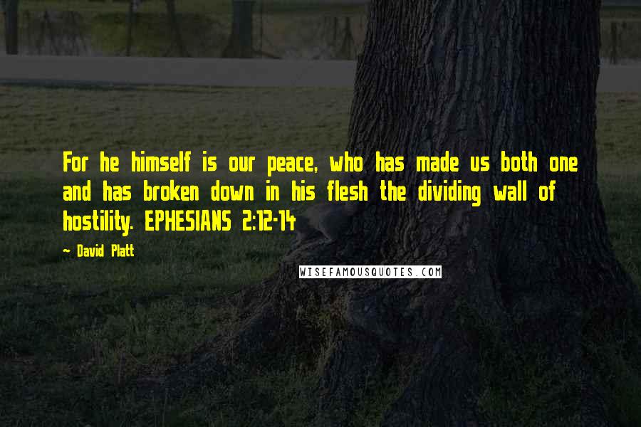 David Platt quotes: For he himself is our peace, who has made us both one and has broken down in his flesh the dividing wall of hostility. EPHESIANS 2:12-14