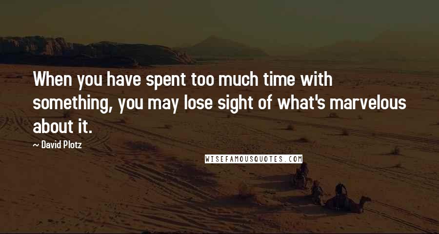 David Plotz quotes: When you have spent too much time with something, you may lose sight of what's marvelous about it.