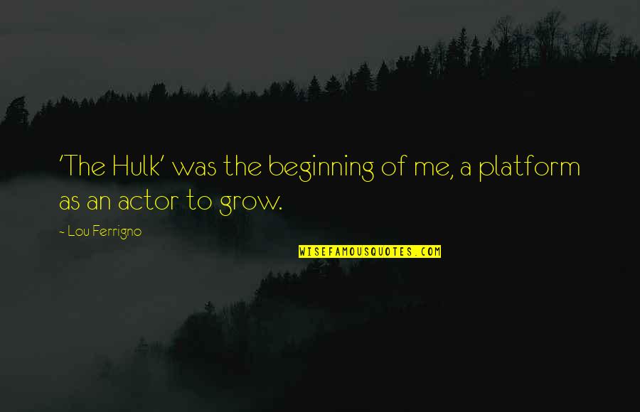 David Pottruck Quotes By Lou Ferrigno: 'The Hulk' was the beginning of me, a