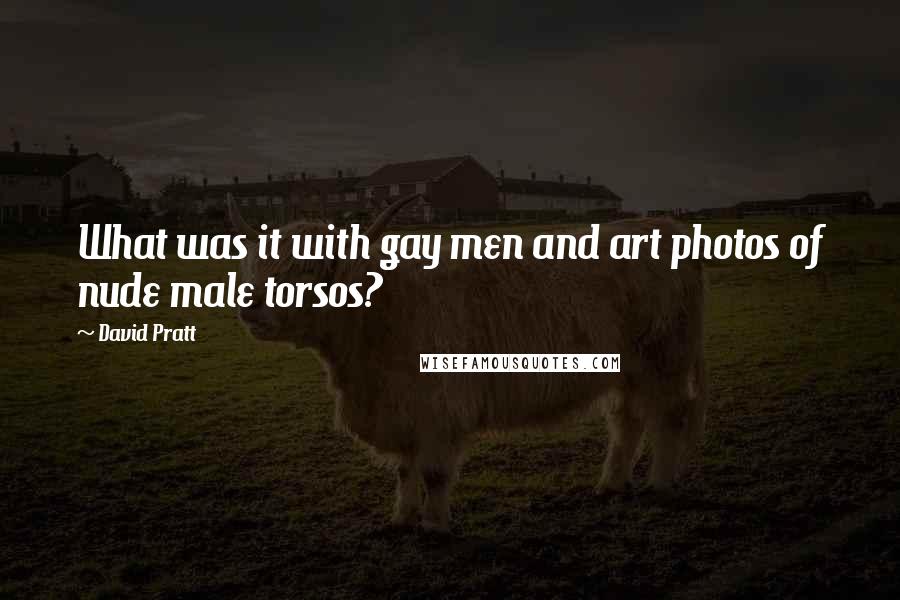 David Pratt quotes: What was it with gay men and art photos of nude male torsos?