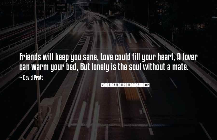 David Pratt quotes: Friends will keep you sane, Love could fill your heart, A lover can warm your bed, But lonely is the soul without a mate.