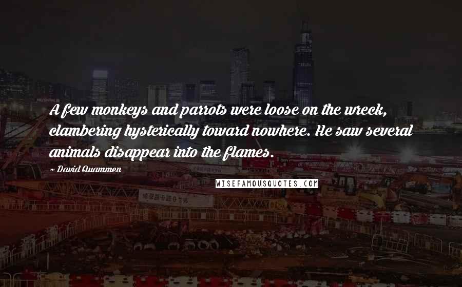 David Quammen quotes: A few monkeys and parrots were loose on the wreck, clambering hysterically toward nowhere. He saw several animals disappear into the flames.