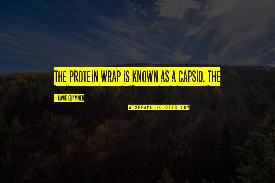 David Quammen Quotes By David Quammen: The protein wrap is known as a capsid.
