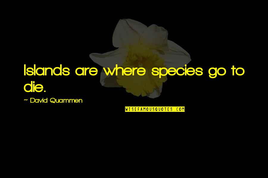 David Quammen Quotes By David Quammen: Islands are where species go to die.