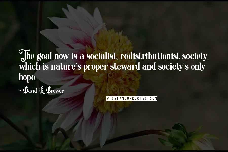 David R. Brower quotes: The goal now is a socialist, redistributionist society, which is nature's proper steward and society's only hope.