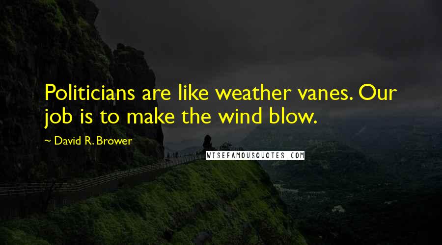 David R. Brower quotes: Politicians are like weather vanes. Our job is to make the wind blow.