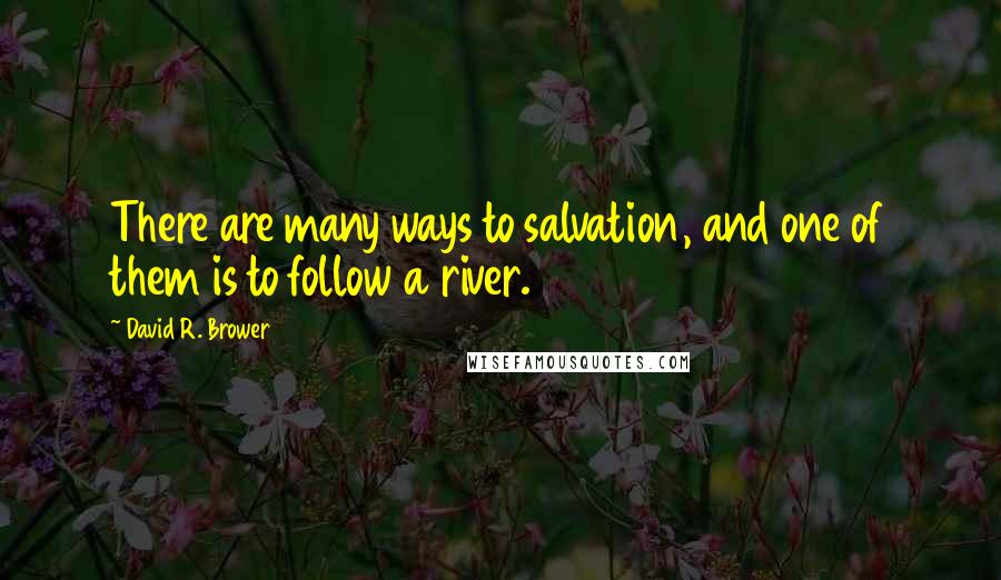 David R. Brower quotes: There are many ways to salvation, and one of them is to follow a river.