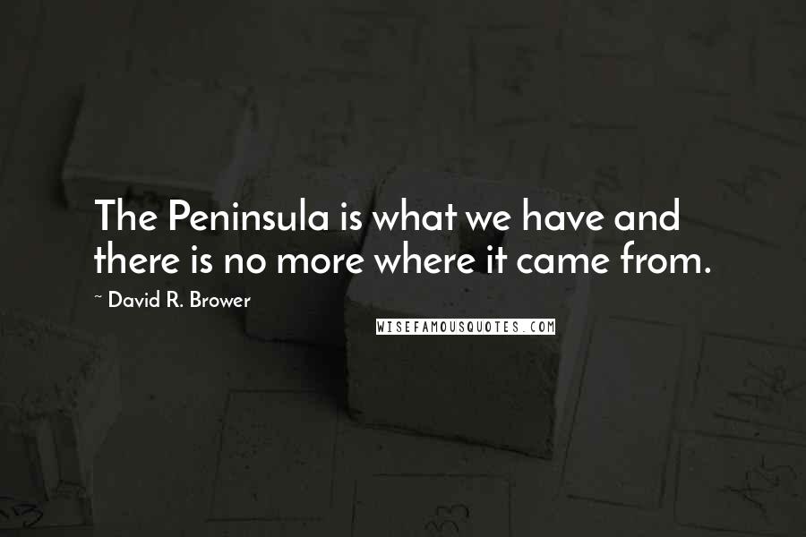 David R. Brower quotes: The Peninsula is what we have and there is no more where it came from.