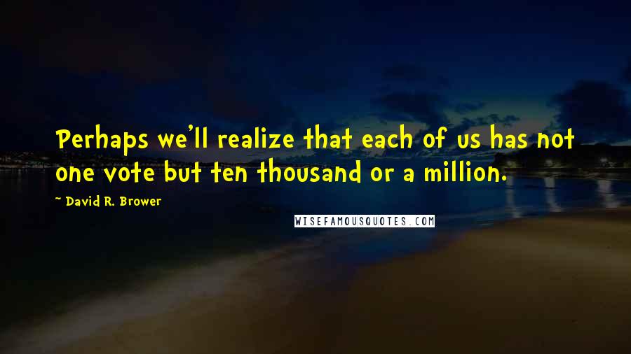David R. Brower quotes: Perhaps we'll realize that each of us has not one vote but ten thousand or a million.